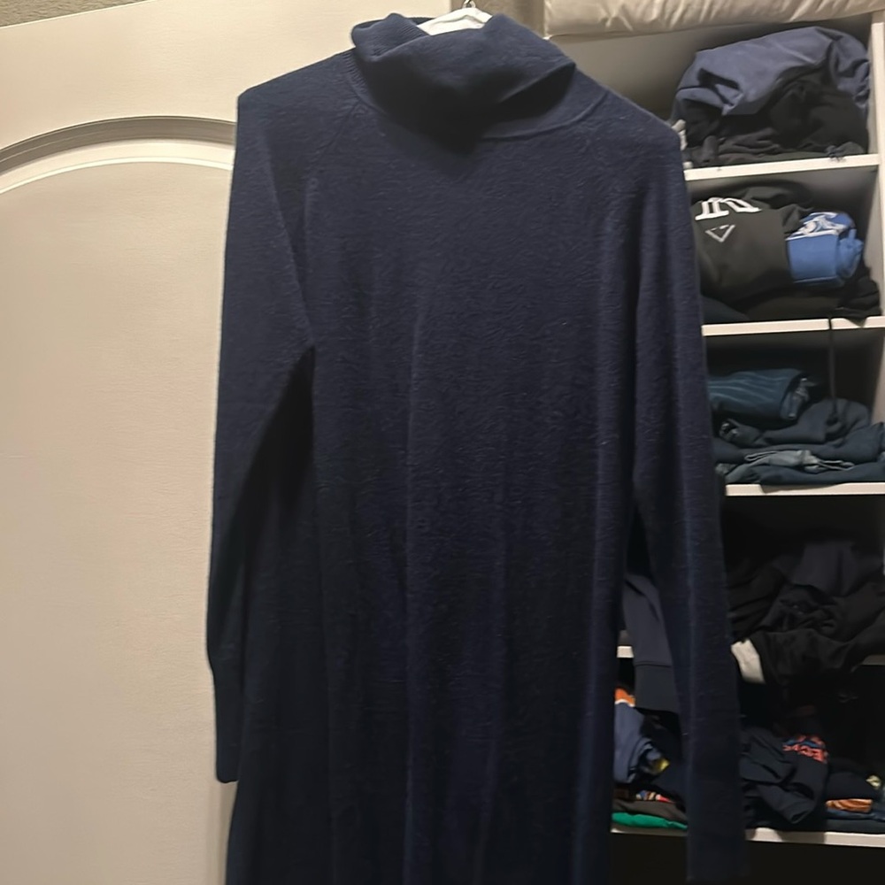 Quince navy blue turtleneck dress